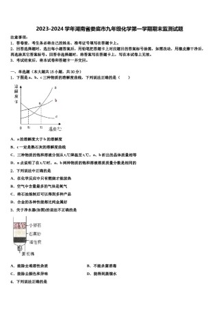 2023-2024学年湖南省娄底市九年级化学第一学期期末监测试题含解析.doc