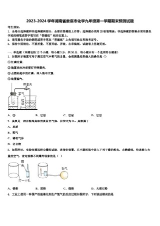 2023-2024学年湖南省娄底市化学九年级第一学期期末预测试题含解析.doc