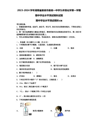 2023-2024学年湖南省娄底市娄底一中学九年级化学第一学期期中学业水平测试模拟试题含解析.doc