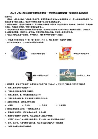 2023-2024学年湖南省娄底市娄底一中学九年级化学第一学期期末监测试题含解析.doc