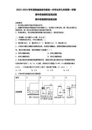 2023-2024学年湖南省娄底市娄底一中学化学九年级第一学期期中质量跟踪监视试题含解析.doc