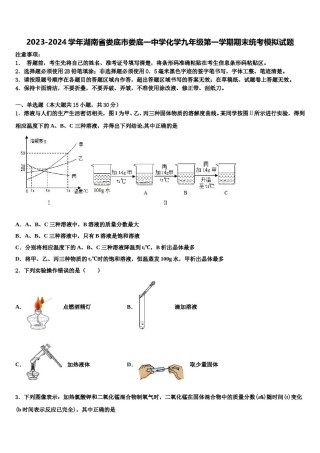 2023-2024学年湖南省娄底市娄底一中学化学九年级第一学期期末统考模拟试题含解析.doc