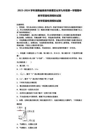 2023-2024学年湖南省娄底市娄星区化学九年级第一学期期中教学质量检测模拟试题含解析.doc