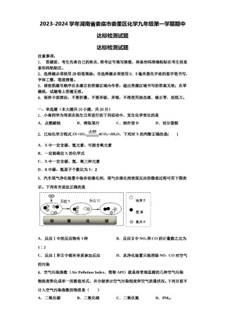 2023-2024学年湖南省娄底市娄星区化学九年级第一学期期中达标检测试题含解析.doc