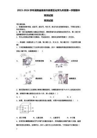 2023-2024学年湖南省娄底市娄星区化学九年级第一学期期中预测试题含解析.doc