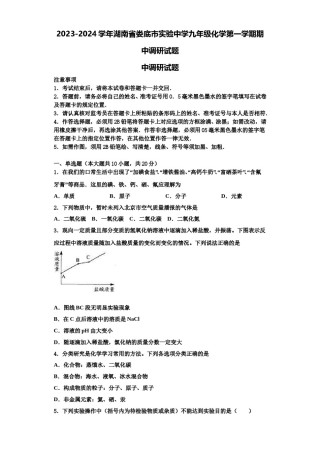 2023-2024学年湖南省娄底市实验中学九年级化学第一学期期中调研试题含解析.doc