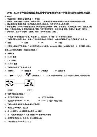 2023-2024学年湖南省娄底市实验中学九年级化学第一学期期末达标检测模拟试题含解析.doc