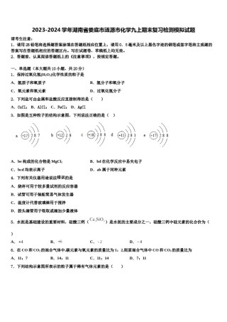 2023-2024学年湖南省娄底市涟源市化学九上期末复习检测模拟试题含解析.doc
