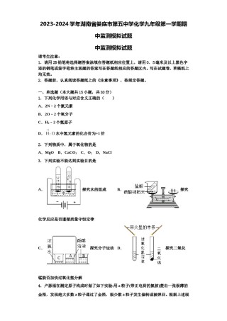 2023-2024学年湖南省娄底市第五中学化学九年级第一学期期中监测模拟试题含解析.doc