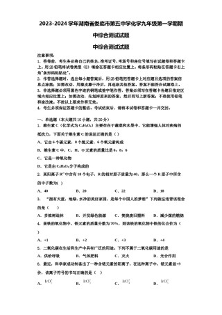 2023-2024学年湖南省娄底市第五中学化学九年级第一学期期中综合测试试题含解析.doc