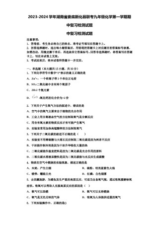 2023-2024学年湖南省娄底新化县联考九年级化学第一学期期中复习检测试题含解析.doc