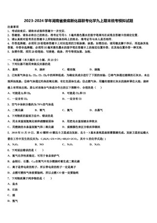 2023-2024学年湖南省娄底新化县联考化学九上期末统考模拟试题含解析.doc