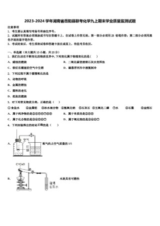 2023-2024学年湖南省岳阳县联考化学九上期末学业质量监测试题含解析.doc