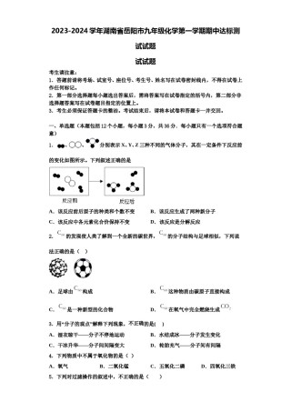2023-2024学年湖南省岳阳市九年级化学第一学期期中达标测试试题含解析.doc