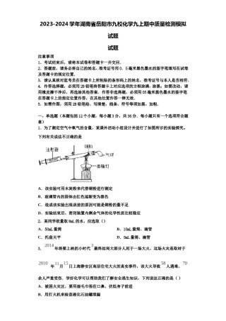 2023-2024学年湖南省岳阳市九校化学九上期中质量检测模拟试题含解析.doc