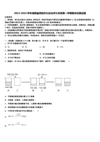 2023-2024学年湖南省岳阳市九校化学九年级第一学期期末经典试题含解析.doc