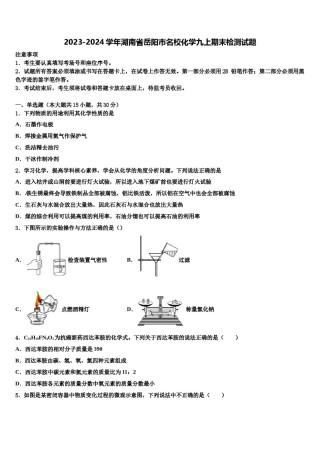2023-2024学年湖南省岳阳市名校化学九上期末检测试题含解析.doc