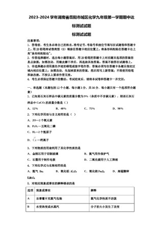 2023-2024学年湖南省岳阳市城区化学九年级第一学期期中达标测试试题含解析.doc