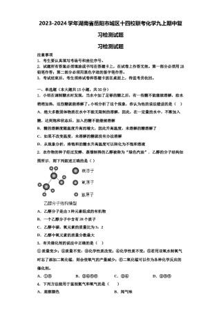2023-2024学年湖南省岳阳市城区十四校联考化学九上期中复习检测试题含解析.doc