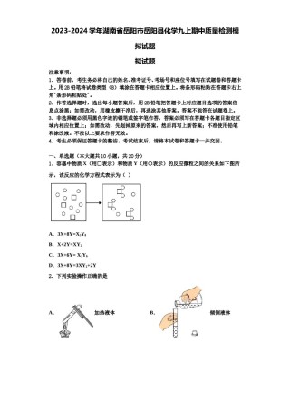 2023-2024学年湖南省岳阳市岳阳县化学九上期中质量检测模拟试题含解析.doc