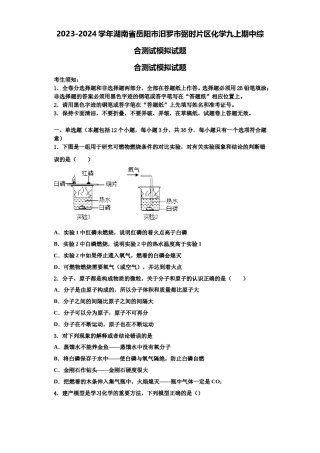 2023-2024学年湖南省岳阳市汨罗市弼时片区化学九上期中综合测试模拟试题含解析.doc