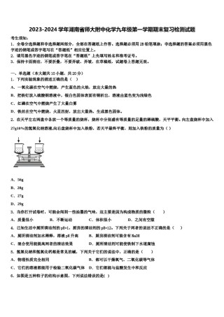 2023-2024学年湖南省师大附中化学九年级第一学期期末复习检测试题含解析.doc