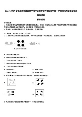 2023-2024学年湖南省师大附中博才实验中学九年级化学第一学期期末教学质量检测模拟试题含解析.doc