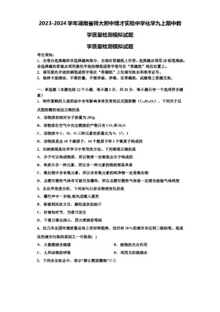 2023-2024学年湖南省师大附中博才实验中学化学九上期中教学质量检测模拟试题含解析.doc