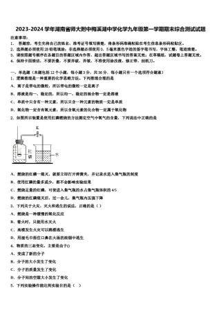 2023-2024学年湖南省师大附中梅溪湖中学化学九年级第一学期期末综合测试试题含解析.doc