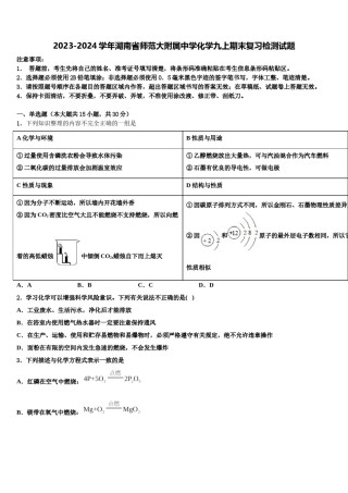 2023-2024学年湖南省师范大附属中学化学九上期末复习检测试题含解析.doc