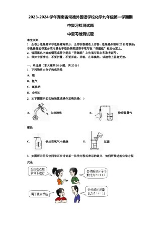 2023-2024学年湖南省常德外国语学校化学九年级第一学期期中复习检测试题含解析.doc