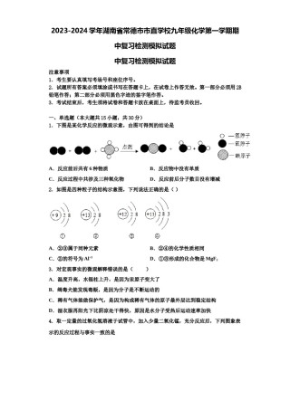 2023-2024学年湖南省常德市市直学校九年级化学第一学期期中复习检测模拟试题含解析.doc