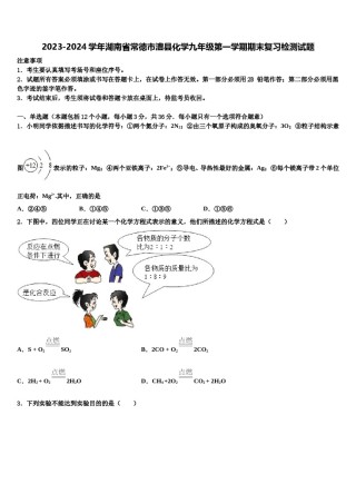 2023-2024学年湖南省常德市澧县化学九年级第一学期期末复习检测试题含解析.doc