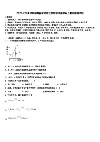 2023-2024学年湖南省常德芷兰实验学校化学九上期末预测试题含解析.doc