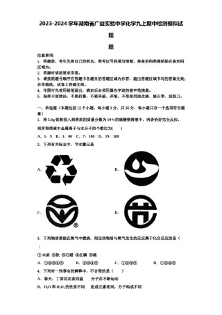 2023-2024学年湖南省广益实验中学化学九上期中检测模拟试题含解析.doc