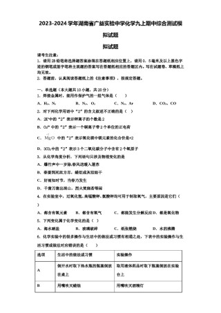 2023-2024学年湖南省广益实验中学化学九上期中综合测试模拟试题含解析.doc