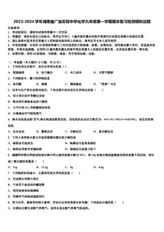 2023-2024学年湖南省广益实验中学化学九年级第一学期期末复习检测模拟试题含解析.doc