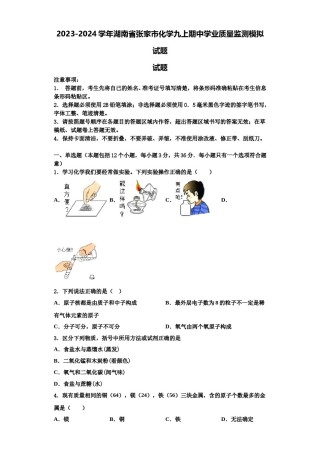 2023-2024学年湖南省张家市化学九上期中学业质量监测模拟试题含解析.doc