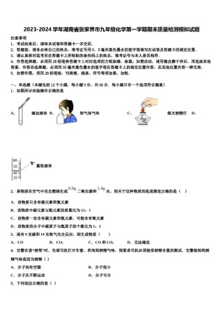 2023-2024学年湖南省张家界市九年级化学第一学期期末质量检测模拟试题含解析.doc