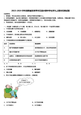 2023-2024学年湖南省张家界市五道水镇中学化学九上期末经典试题含解析.doc