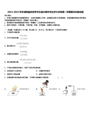 2023-2024学年湖南省张家界市五道水镇中学化学九年级第一学期期末经典试题含解析.doc