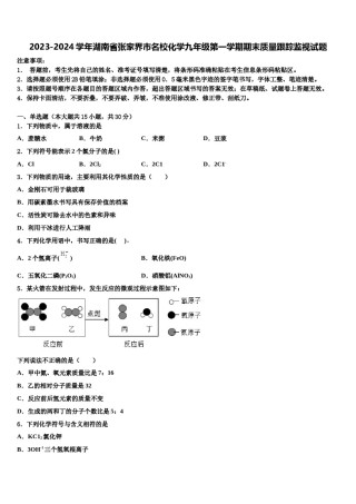 2023-2024学年湖南省张家界市名校化学九年级第一学期期末质量跟踪监视试题含解析.doc