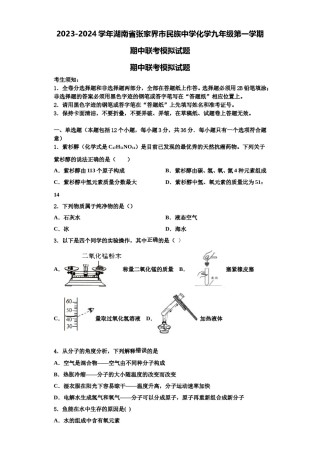 2023-2024学年湖南省张家界市民族中学化学九年级第一学期期中联考模拟试题含解析.doc