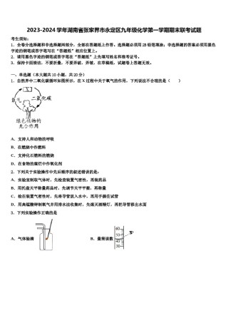 2023-2024学年湖南省张家界市永定区九年级化学第一学期期末联考试题含解析.doc