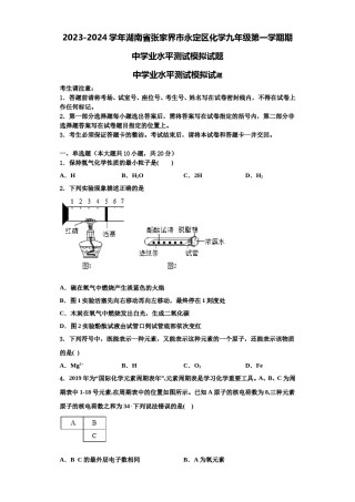 2023-2024学年湖南省张家界市永定区化学九年级第一学期期中学业水平测试模拟试题含解析.doc