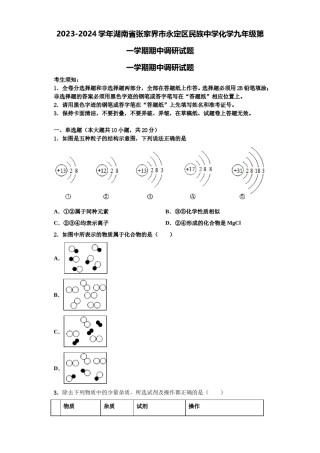 2023-2024学年湖南省张家界市永定区民族中学化学九年级第一学期期中调研试题含解析.doc