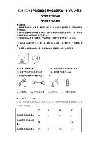 2023-2024学年湖南省张家界市永定区民族中学化学九年级第一学期期中预测试题含解析.doc