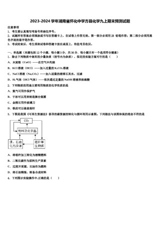 2023-2024学年湖南省怀化中学方县化学九上期末预测试题含解析.doc