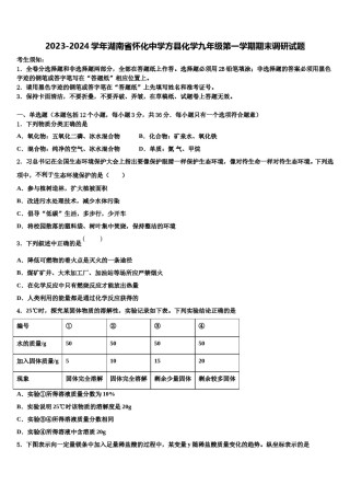 2023-2024学年湖南省怀化中学方县化学九年级第一学期期末调研试题含解析.doc