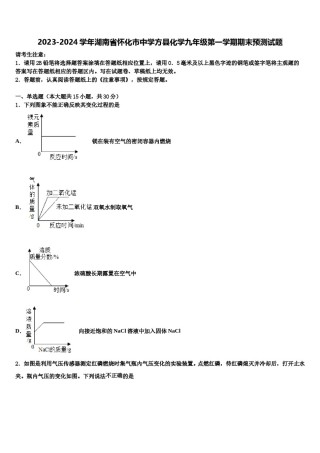 2023-2024学年湖南省怀化市中学方县化学九年级第一学期期末预测试题含解析.doc